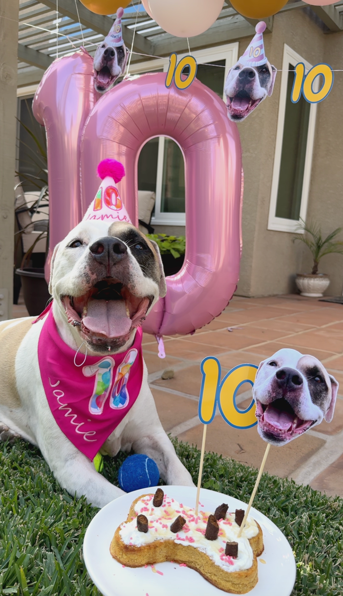 Personalized Dog Party Pack