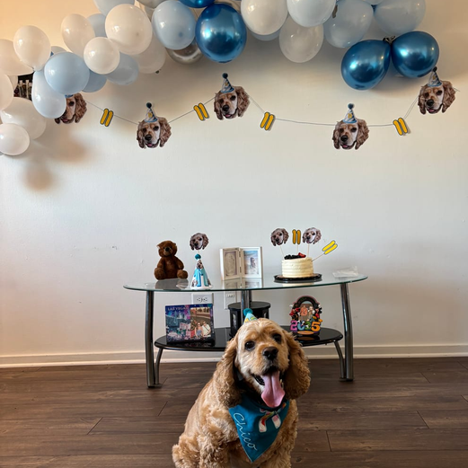 Personalized Dog Party Pack