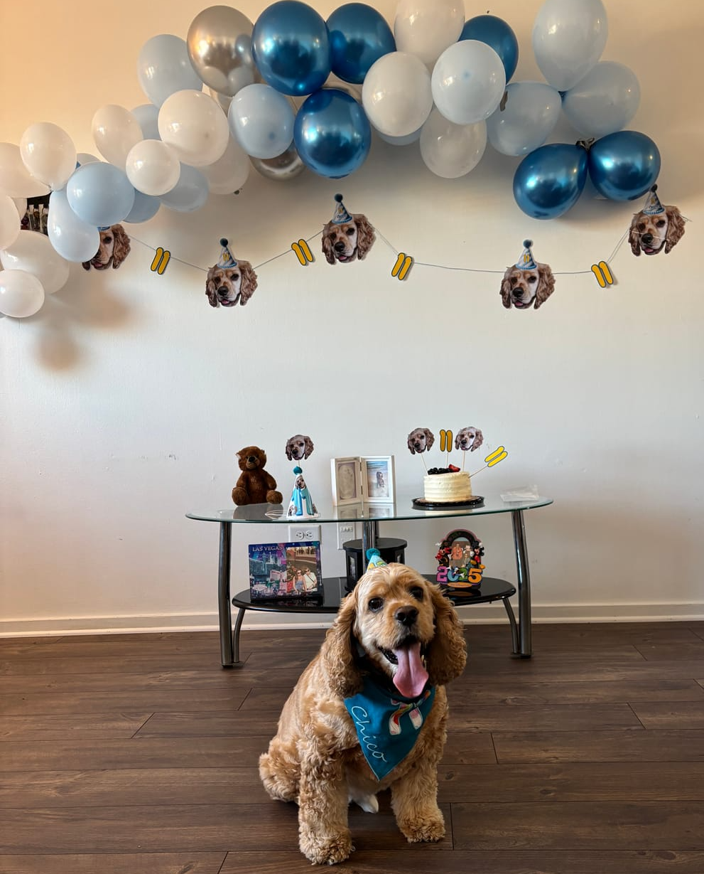 Personalized Dog Party Pack