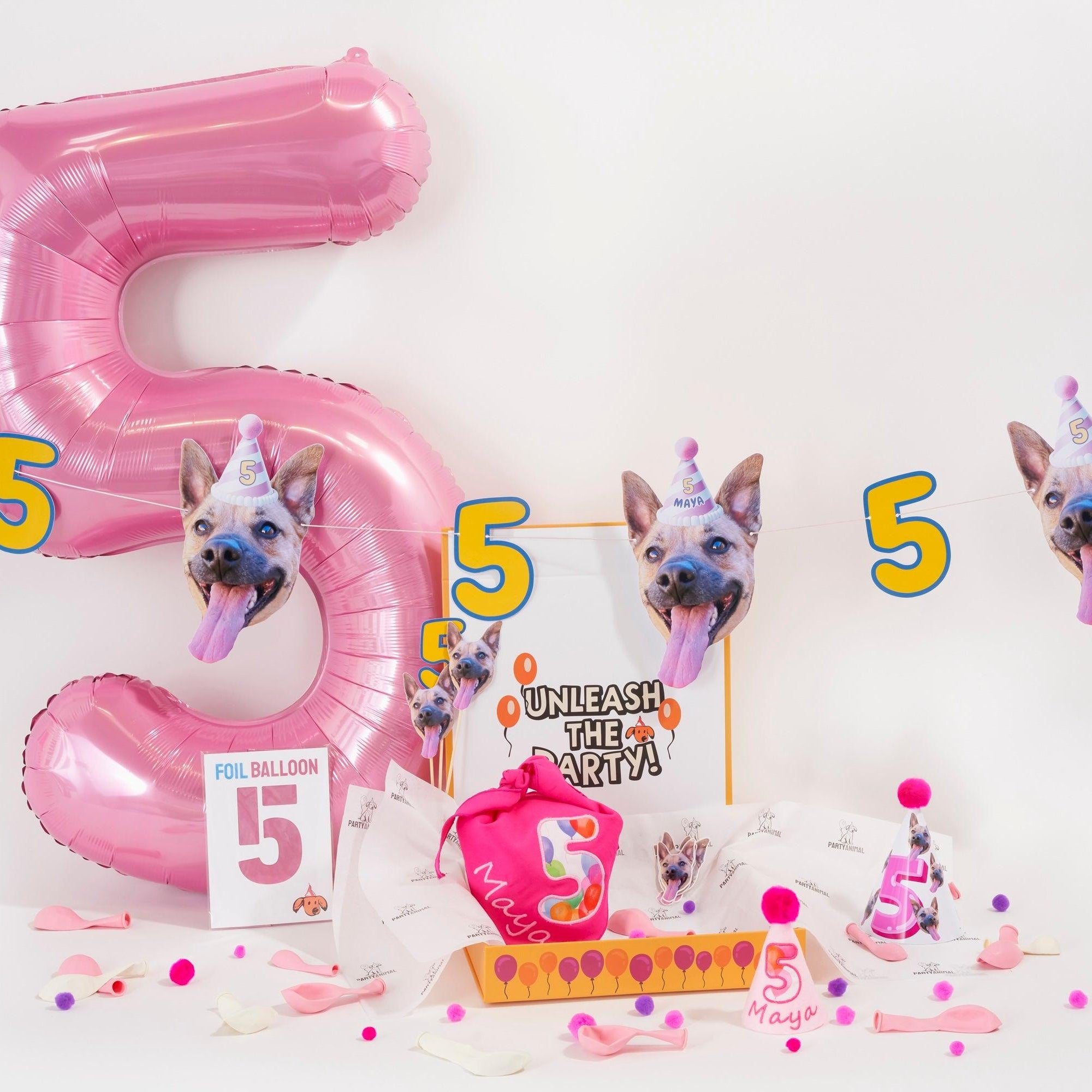 PartyAnimal PartyPack - PartyAnimal