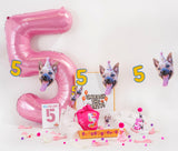 PartyAnimal PartyPack - PartyAnimal