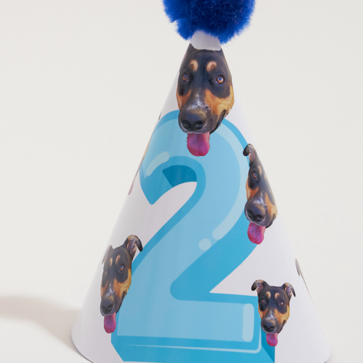 Extra Human Party Hats Pack (Pack of 4)