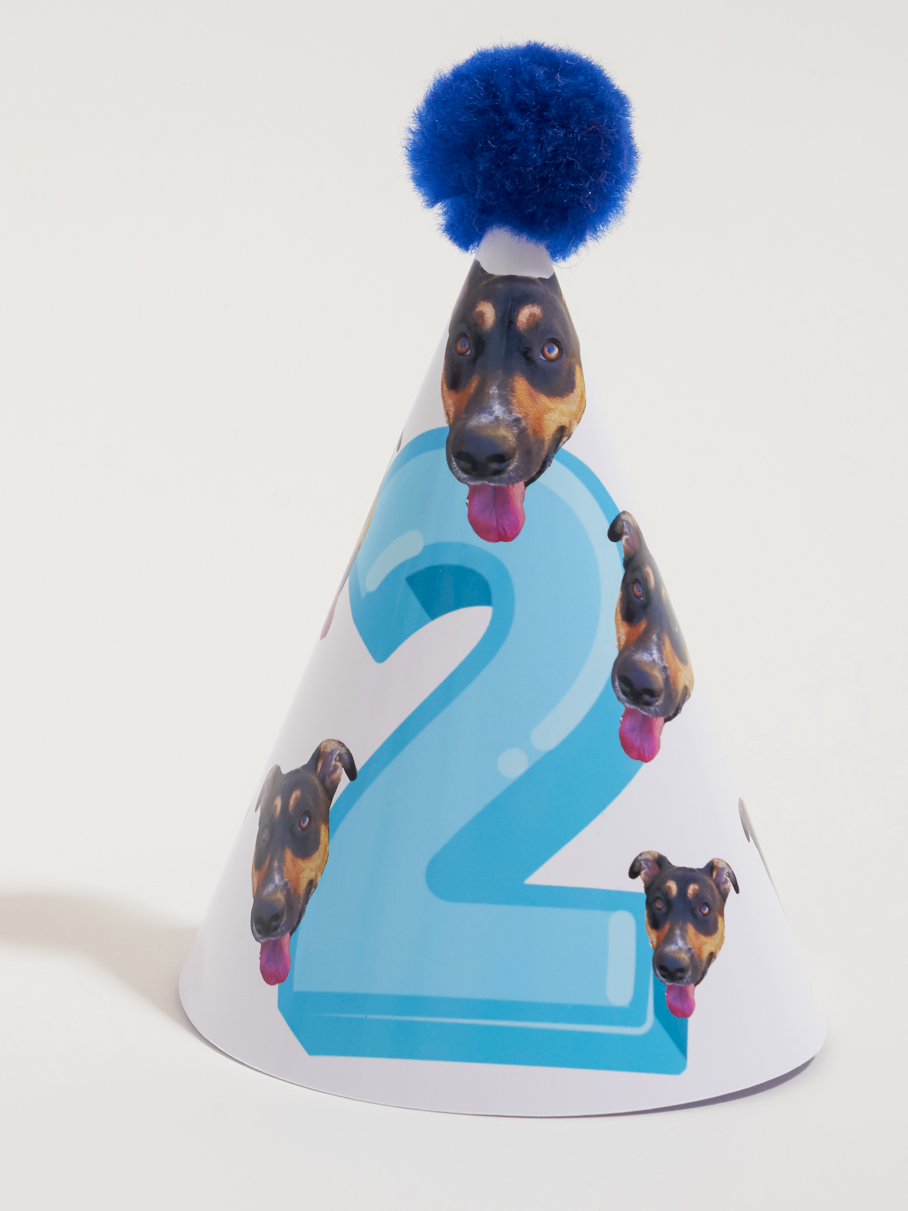 Extra Human Party Hats Pack (Pack of 4)