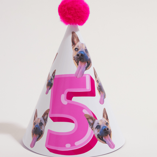 Extra Human Party Hats Pack (Pack of 4)