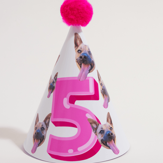 PartyAnimal PartyPack - PartyAnimal