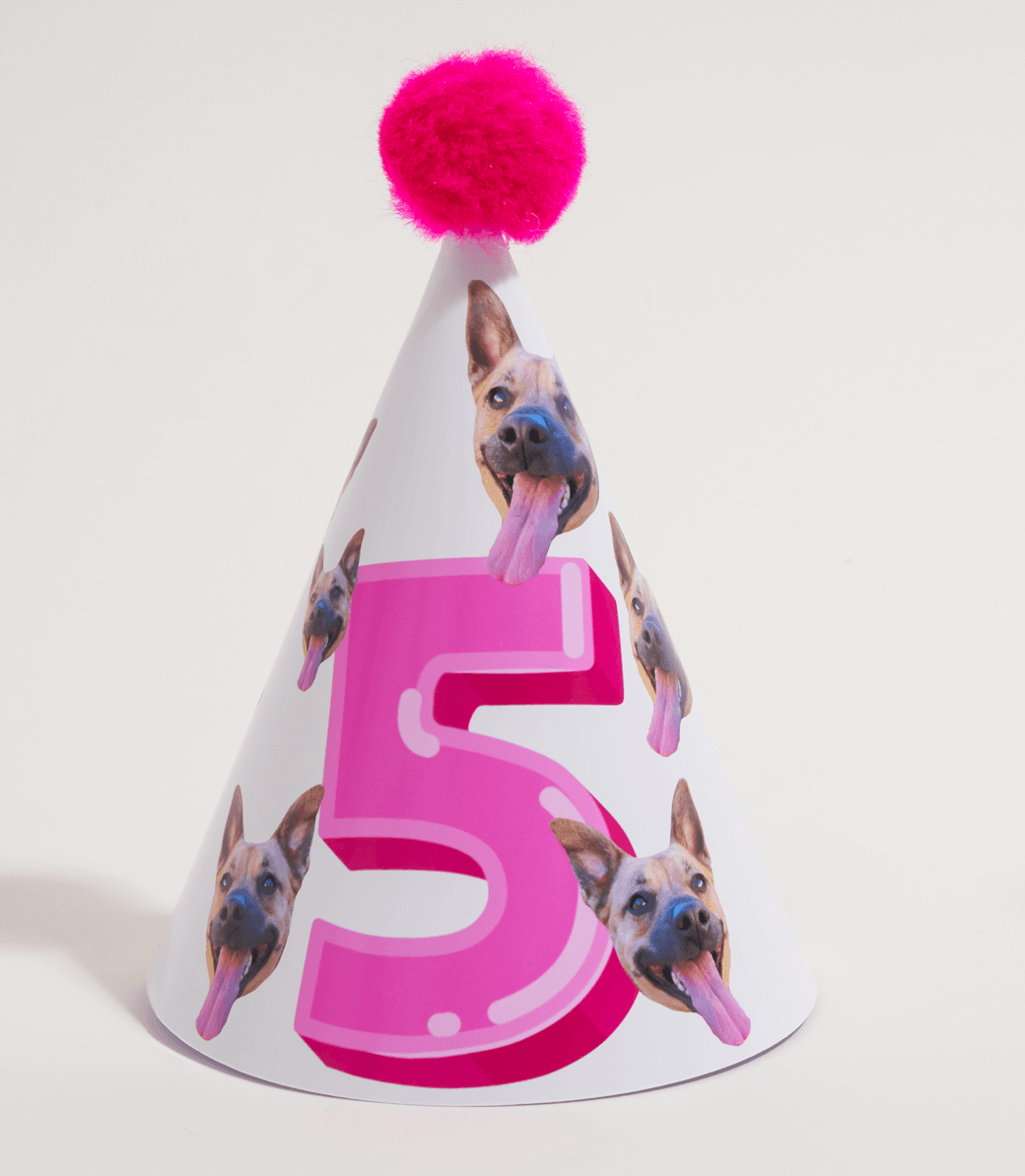 PartyAnimal PartyPack - PartyAnimal