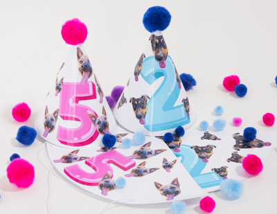 Extra Human Party Hats Pack (Pack of 4)