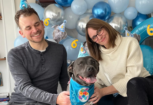 Arya • 6th Birthday