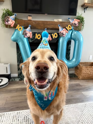 Personalized Dog Party Pack