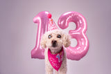 Lite Personalized Dog Party Pack